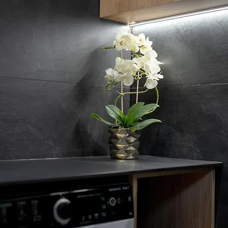 Apartment Nowoczesny Z Parkingiem W Sasiedztwie Starego Zoo By Renters
