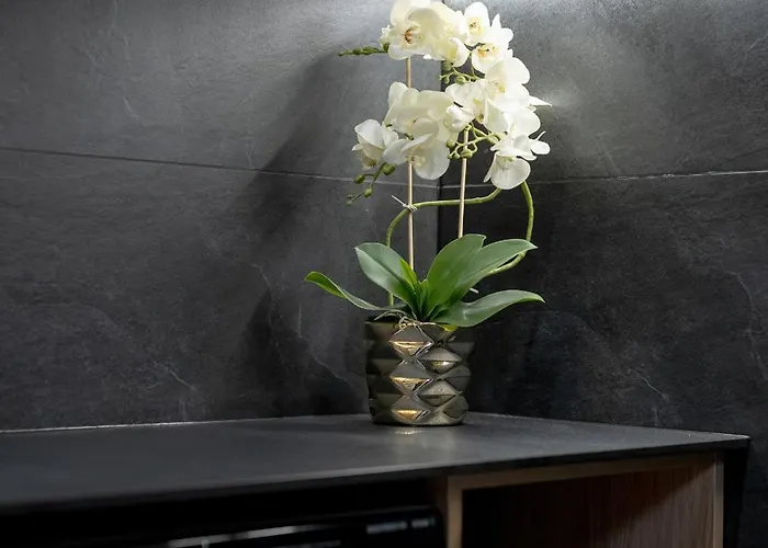 Apartament Nowoczesny Z Parkingiem W Sasiedztwie Starego Zoo By Renters